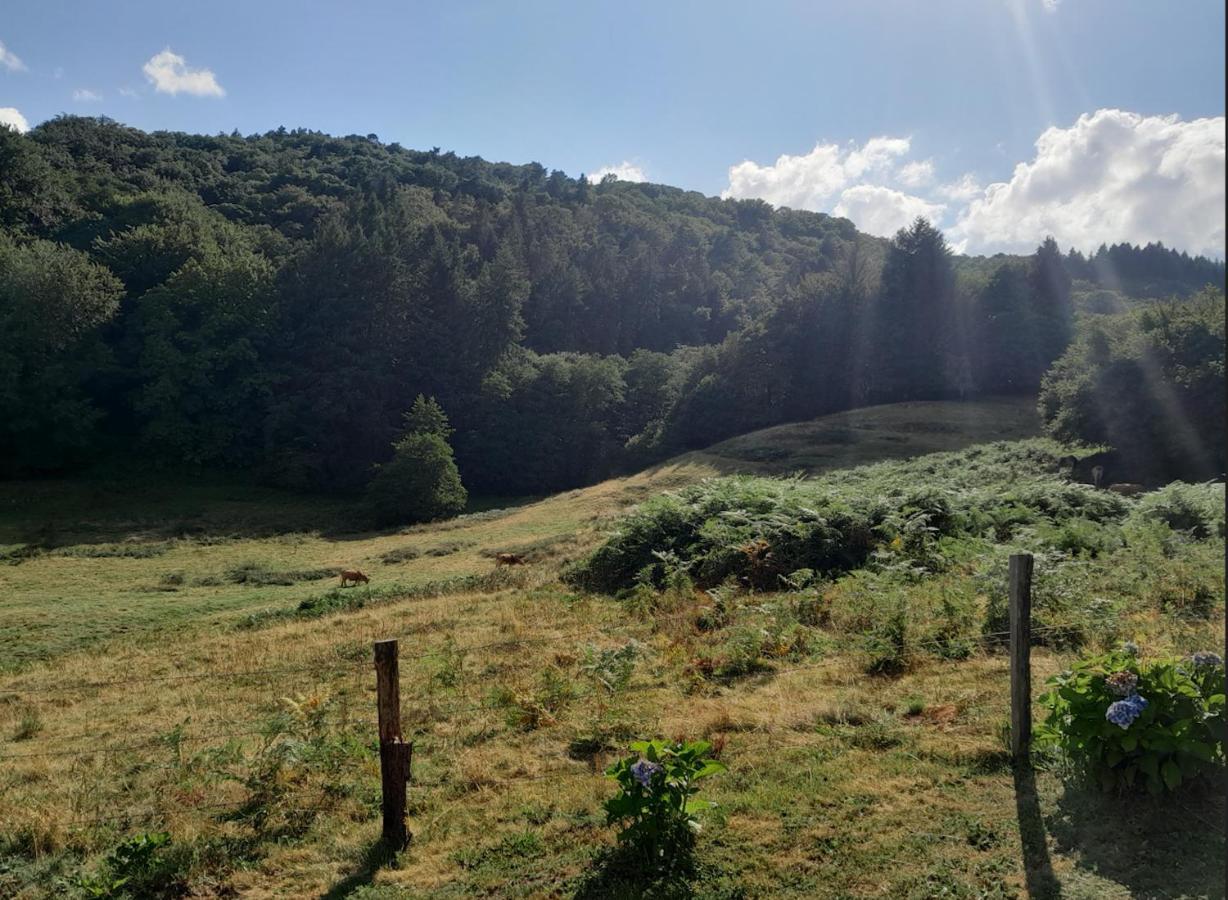 Chalet Charmant A Saint-Sylvestre Avec Terrasse Et Jardin Ambazac Εξωτερικό φωτογραφία